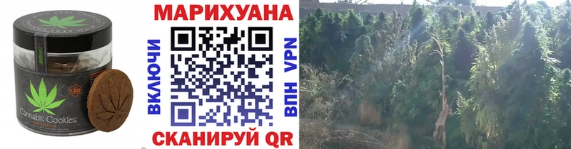 цены наркотик  Вязники  hydra как зайти  это как зайти  Еда ТГК конопля 