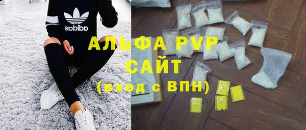 ешки Белокуриха
