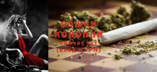 ПСИЛОЦИБИНОВЫЕ ГРИБЫ Бородино