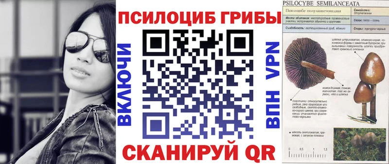 Галлюциногенные грибы мицелий  купить наркотик  Вязники 