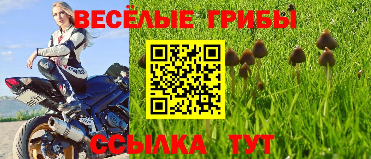 Галлюциногенные грибы Magic Shrooms Вязники