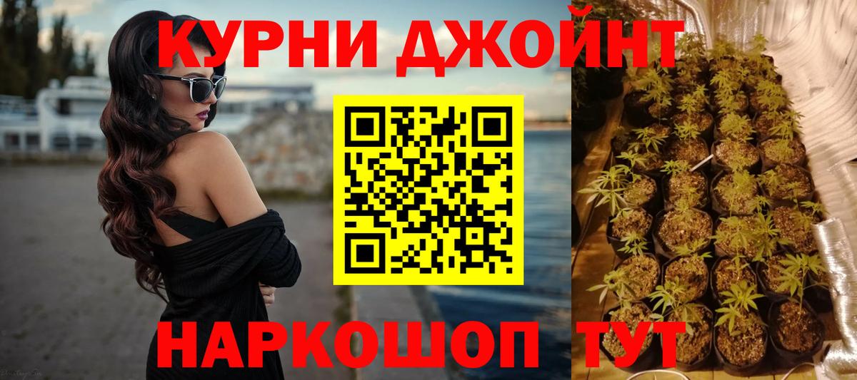Бошки Шишки план Вязники